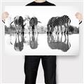 Picture of Sipping Zebras  _GroupedProduct_Rectangle_Landscape_Photography _GroupedProduct_Rectangle_Landscape_Canvas_