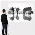 Picture of Sipping Zebras  _GroupedProduct_Rectangle_Landscape_Photography _GroupedProduct_Rectangle_Landscape_Canvas_