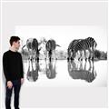 Picture of Sipping Zebras  _GroupedProduct_Rectangle_Landscape_Photography _GroupedProduct_Rectangle_Landscape_Canvas_