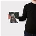 Picture of Snowy Bear _GroupedProduct_Rectangle_Portrait_Photography _GroupedProduct_Rectangle_Portrait_Canvas_