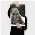 Picture of Snowy Bear _GroupedProduct_Rectangle_Portrait_Photography _GroupedProduct_Rectangle_Portrait_Canvas_