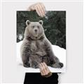 Picture of Snowy Bear _GroupedProduct_Rectangle_Portrait_Photography _GroupedProduct_Rectangle_Portrait_Canvas_