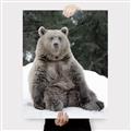 Picture of Snowy Bear _GroupedProduct_Rectangle_Portrait_Photography _GroupedProduct_Rectangle_Portrait_Canvas_