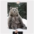 Picture of Snowy Bear _GroupedProduct_Rectangle_Portrait_Photography _GroupedProduct_Rectangle_Portrait_Canvas_