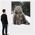 Picture of Snowy Bear _GroupedProduct_Rectangle_Portrait_Photography _GroupedProduct_Rectangle_Portrait_Canvas_