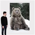 Picture of Snowy Bear _GroupedProduct_Rectangle_Portrait_Photography _GroupedProduct_Rectangle_Portrait_Canvas_