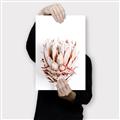 Picture of Soft Protea _GroupedProduct_Rectangle_Portrait_Photography _GroupedProduct_Rectangle_Portrait_Canvas_