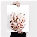 Picture of Soft Protea _GroupedProduct_Rectangle_Portrait_Photography _GroupedProduct_Rectangle_Portrait_Canvas_