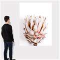 Picture of Soft Protea _GroupedProduct_Rectangle_Portrait_Photography _GroupedProduct_Rectangle_Portrait_Canvas_