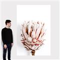 Picture of Soft Protea _GroupedProduct_Rectangle_Portrait_Photography _GroupedProduct_Rectangle_Portrait_Canvas_