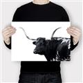 Picture of Spotted Bull  _GroupedProduct_Rectangle_Landscape_Photography _GroupedProduct_Rectangle_Landscape_Canvas_