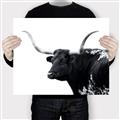Picture of Spotted Bull  _GroupedProduct_Rectangle_Landscape_Photography _GroupedProduct_Rectangle_Landscape_Canvas_