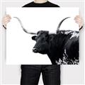 Picture of Spotted Bull  _GroupedProduct_Rectangle_Landscape_Photography _GroupedProduct_Rectangle_Landscape_Canvas_