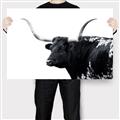 Picture of Spotted Bull  _GroupedProduct_Rectangle_Landscape_Photography _GroupedProduct_Rectangle_Landscape_Canvas_