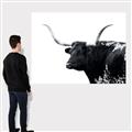 Picture of Spotted Bull  _GroupedProduct_Rectangle_Landscape_Photography _GroupedProduct_Rectangle_Landscape_Canvas_