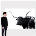 Picture of Spotted Bull  _GroupedProduct_Rectangle_Landscape_Photography _GroupedProduct_Rectangle_Landscape_Canvas_