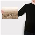 Picture of Spotted in the Savanna  _GroupedProduct_Rectangle_Landscape_Photography _GroupedProduct_Rectangle_Landscape_Canvas_