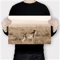 Picture of Spotted in the Savanna  _GroupedProduct_Rectangle_Landscape_Photography _GroupedProduct_Rectangle_Landscape_Canvas_