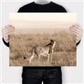 Picture of Spotted in the Savanna  _GroupedProduct_Rectangle_Landscape_Photography _GroupedProduct_Rectangle_Landscape_Canvas_