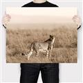 Picture of Spotted in the Savanna  _GroupedProduct_Rectangle_Landscape_Photography _GroupedProduct_Rectangle_Landscape_Canvas_