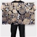 Picture of Stacked Logs _GroupedProduct_Rectangle_Landscape_Photography _GroupedProduct_Rectangle_Landscape_Canvas_