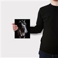 Picture of Stallion _GroupedProduct_Rectangle_Portrait_Photography _GroupedProduct_Rectangle_Portrait_Canvas_