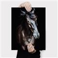 Picture of Stallion _GroupedProduct_Rectangle_Portrait_Photography _GroupedProduct_Rectangle_Portrait_Canvas_