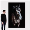 Picture of Stallion _GroupedProduct_Rectangle_Portrait_Photography _GroupedProduct_Rectangle_Portrait_Canvas_