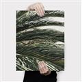 Picture of Sun & Palms  _GroupedProduct_Rectangle_Portrait_Photography _GroupedProduct_Rectangle_Portrait_Canvas_