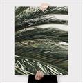 Picture of Sun & Palms  _GroupedProduct_Rectangle_Portrait_Photography _GroupedProduct_Rectangle_Portrait_Canvas_