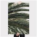 Picture of Sun & Palms  _GroupedProduct_Rectangle_Portrait_Photography _GroupedProduct_Rectangle_Portrait_Canvas_
