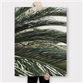 Picture of Sun & Palms  _GroupedProduct_Rectangle_Portrait_Photography _GroupedProduct_Rectangle_Portrait_Canvas_