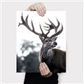 Picture of The Winter Deer _GroupedProduct_Rectangle_Portrait_Photography _GroupedProduct_Rectangle_Portrait_Canvas_