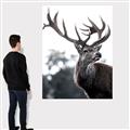 Picture of The Winter Deer _GroupedProduct_Rectangle_Portrait_Photography _GroupedProduct_Rectangle_Portrait_Canvas_
