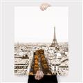 Picture of Touch of Mustard in Paris _GroupedProduct_Rectangle_Portrait_Photography _GroupedProduct_Rectangle_Portrait_Canvas_