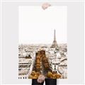 Picture of Touch of Mustard in Paris _GroupedProduct_Rectangle_Portrait_Photography _GroupedProduct_Rectangle_Portrait_Canvas_