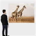 Picture of Twice as Tall _GroupedProduct_Rectangle_Landscape_Photography _GroupedProduct_Rectangle_Landscape_Canvas_