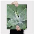 Picture of Up Close & Green _GroupedProduct_Rectangle_Portrait_Photography _GroupedProduct_Rectangle_Portrait_Canvas_