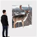 Picture of Waiting in Snow _GroupedProduct_Rectangle_Portrait_Photography _GroupedProduct_Rectangle_Portrait_Canvas_