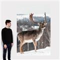 Picture of Waiting in Snow _GroupedProduct_Rectangle_Portrait_Photography _GroupedProduct_Rectangle_Portrait_Canvas_