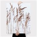 Picture of Wheat in the Wind  _GroupedProduct_Rectangle_Portrait_Photography _GroupedProduct_Rectangle_Portrait_Canvas_