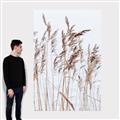 Picture of Wheat in the Wind  _GroupedProduct_Rectangle_Portrait_Photography _GroupedProduct_Rectangle_Portrait_Canvas_