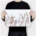 Picture of Wheat in the Wind II _GroupedProduct_Rectangle_Landscape_Photography _GroupedProduct_Rectangle_Landscape_Canvas_