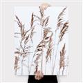 Picture of Wheat in the Wind III _GroupedProduct_Rectangle_Portrait_Photography _GroupedProduct_Rectangle_Portrait_Canvas_