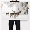 Picture of Winter Deers _GroupedProduct_Rectangle_Landscape_Photography _GroupedProduct_Rectangle_Landscape_Canvas_