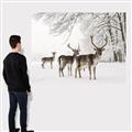 Picture of Winter Deers _GroupedProduct_Rectangle_Landscape_Photography _GroupedProduct_Rectangle_Landscape_Canvas_
