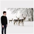 Picture of Winter Deers _GroupedProduct_Rectangle_Landscape_Photography _GroupedProduct_Rectangle_Landscape_Canvas_