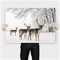 Picture of Winter Deers _GroupedProduct_Rectangle_Landscape_Photography _GroupedProduct_Rectangle_Landscape_Canvas_
