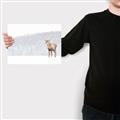 Picture of Winter Stag _GroupedProduct_Rectangle_Landscape_Canvas_