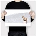 Picture of Winter Stag _GroupedProduct_Rectangle_Landscape_Canvas_